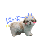 ふくくんです。（個別スタンプ：10）