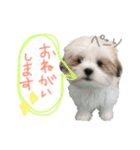 ふくくんです。（個別スタンプ：12）