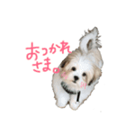 ふくくんです。（個別スタンプ：13）