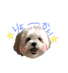 ふくくんです。（個別スタンプ：15）