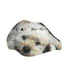 ココナの愛犬たち（個別スタンプ：1）