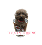 ココナの愛犬たち（個別スタンプ：4）
