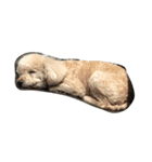 ココナの愛犬たち（個別スタンプ：6）