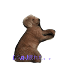 ココナの愛犬たち（個別スタンプ：7）