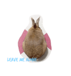 ○うさまる○（個別スタンプ：3）
