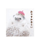 雨家のハリネズミ（個別スタンプ：2）