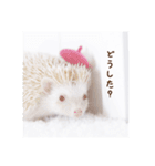 雨家のハリネズミ（個別スタンプ：6）