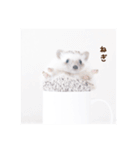 雨家のハリネズミ（個別スタンプ：13）