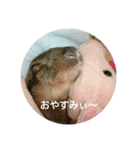 LEPUS（個別スタンプ：13）