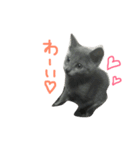 ロシアンブルーのみんとくん♡1（個別スタンプ：22）