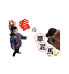 Money into a family（個別スタンプ：13）