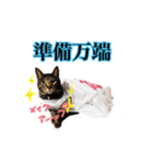 基本すず（個別スタンプ：2）