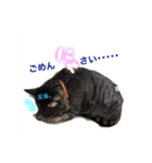 基本すず（個別スタンプ：7）