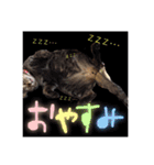基本すず（個別スタンプ：8）