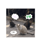基本すず（個別スタンプ：9）