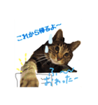 基本すず（個別スタンプ：10）