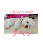 しゃべる 犬(@_@)（個別スタンプ：8）