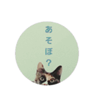 みけ猫のあんみつ（個別スタンプ：8）