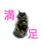 ジジさまのホンネ（個別スタンプ：5）