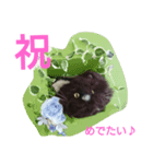 ジジさまのホンネ（個別スタンプ：6）