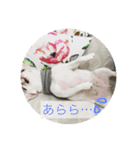 ブルカム君（個別スタンプ：4）