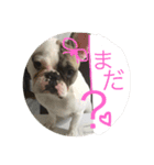 ブルカム君（個別スタンプ：5）