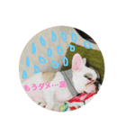 ブルカム君（個別スタンプ：9）