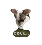 ブルカム君（個別スタンプ：11）