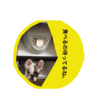 ブルカム君（個別スタンプ：13）