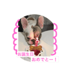 ブルカム君（個別スタンプ：15）