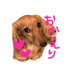 うちのビビちゃん3（個別スタンプ：1）