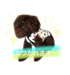 ブラウントイプーもこちゃん（個別スタンプ：2）