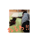 ブラウントイプーもこちゃん（個別スタンプ：7）