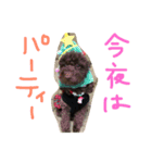ブラウントイプーもこちゃん（個別スタンプ：9）