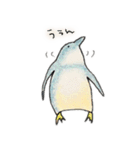 あわいろペンギンときどきアザラシ（個別スタンプ：26）