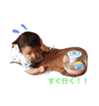 くるみの一日（個別スタンプ：4）