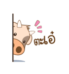 Piggy and Moo（個別スタンプ：5）