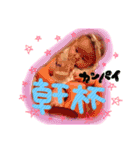 ゆきんこSTAMP（個別スタンプ：16）