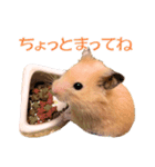 キンクマハムスター ムギの生活2（個別スタンプ：13）