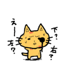 Bright yellow cat（個別スタンプ：37）