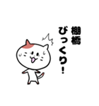 「棚橋さん」の猫スタンプ（個別スタンプ：10）