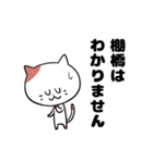 「棚橋さん」の猫スタンプ（個別スタンプ：15）