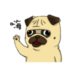 pug A-bang（個別スタンプ：1）