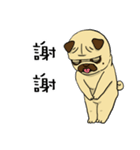 pug A-bang（個別スタンプ：2）