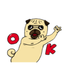 pug A-bang（個別スタンプ：4）