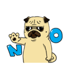 pug A-bang（個別スタンプ：5）