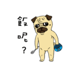 pug A-bang（個別スタンプ：6）