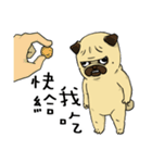 pug A-bang（個別スタンプ：7）