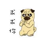 pug A-bang（個別スタンプ：8）