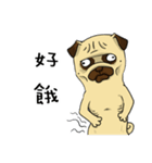 pug A-bang（個別スタンプ：9）